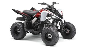 Yamaha YFM90 bestellen
