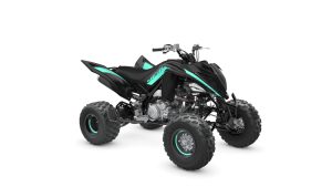 Yamaha YFM700R Raptor met kenteken