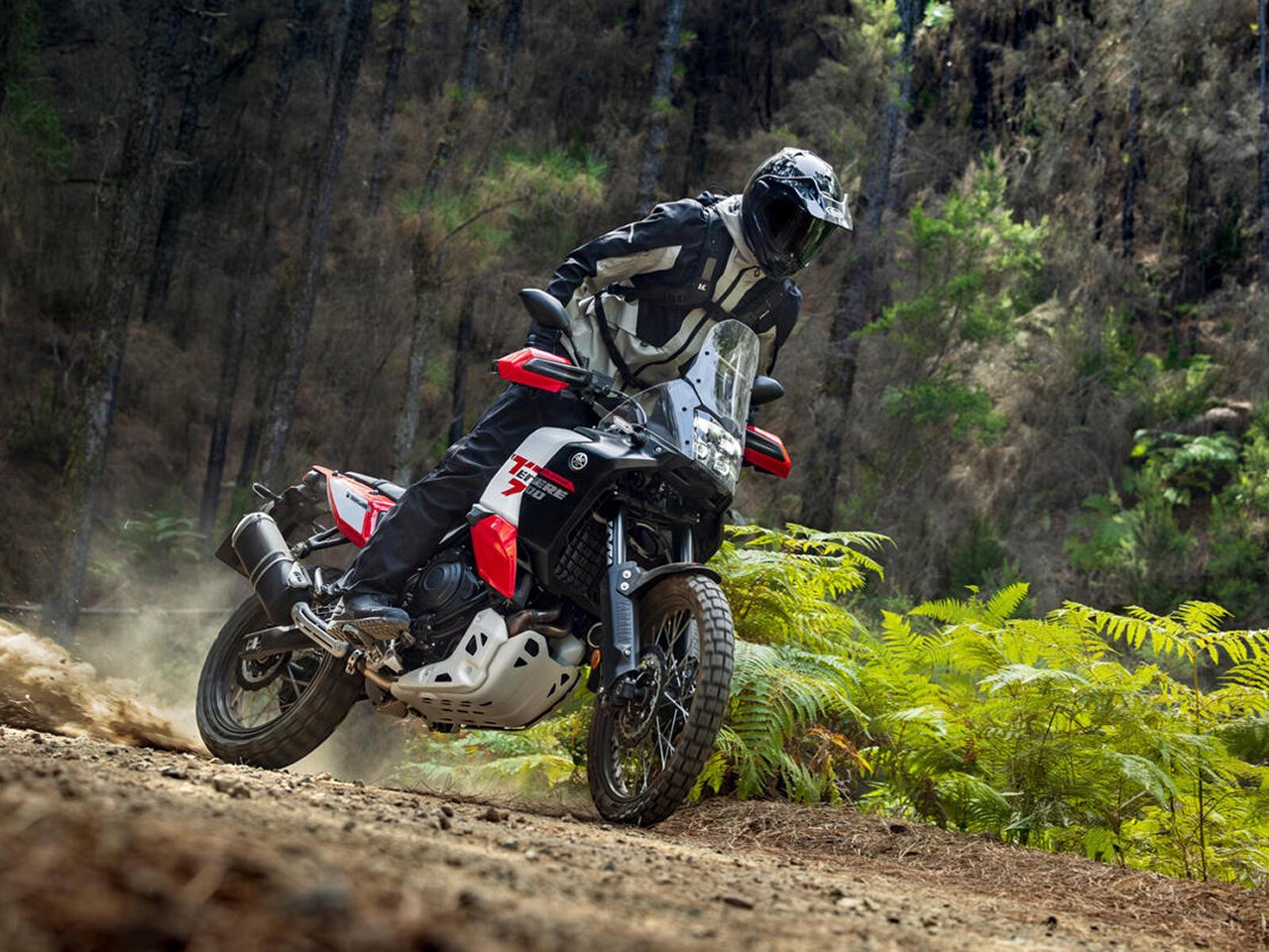 Enduro motor offroad